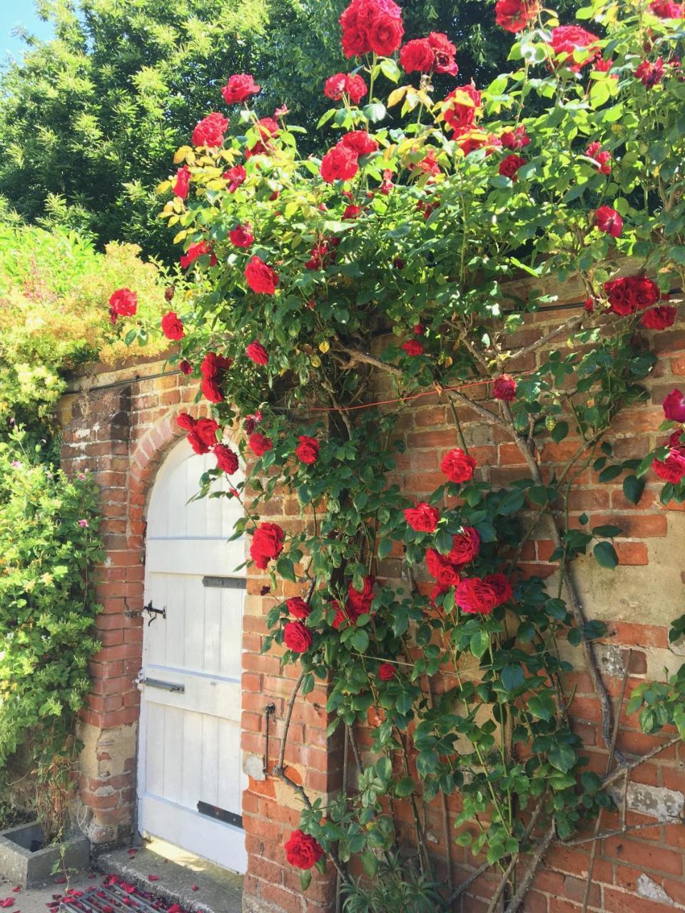 The Old Rectory B&B Kessingland Exterior foto